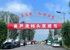 乡村游秩序整治在行动丨雄州镇南辛立庄美芦湾码头积极推进服务升级