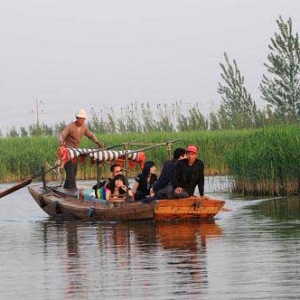 白洋淀推出端午节民俗系列旅游活动