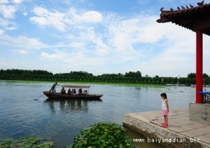 白洋淀旅游正佳时之—水为白洋淀增添魅力