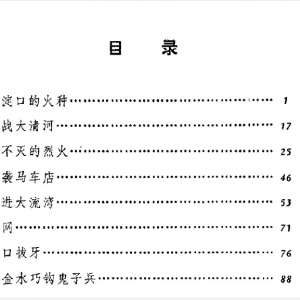 [淀上飞兵].李永鸿.扫描版.pdf