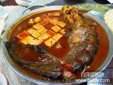 鲶鱼炖豆腐-茄子48元/份 1.jpg