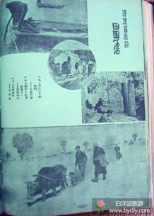 图文：抗战时期的白洋淀——1943年出版的晋察冀画报 4.jpg