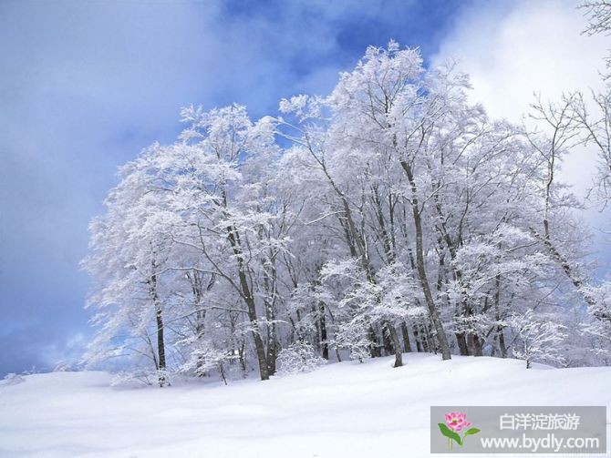 雪夜中的思念 4.jpg