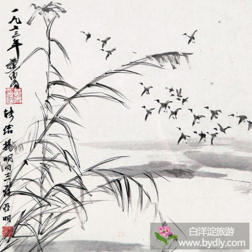 国画大师——白洋淀印象 5.jpg