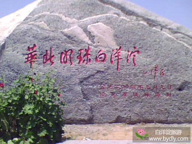 华北明珠白洋淀综合介绍 2335c7543576eb3a3b29351c.jpg