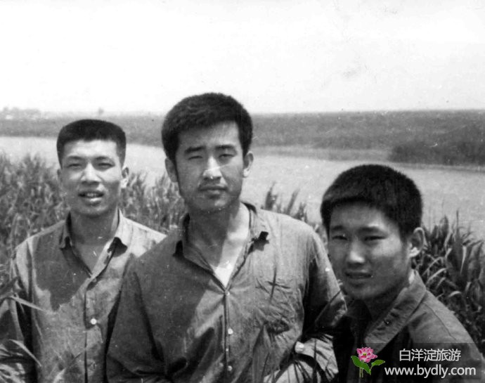 杨桦——我在白洋淀的知青生活（1969—1972） 1.jpg