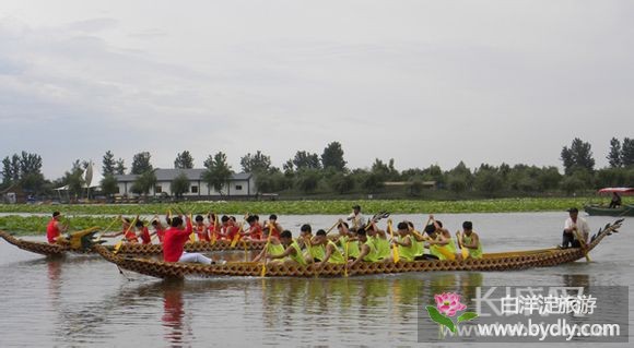 首届安新白洋淀端午旅游文化节开幕 2.jpg