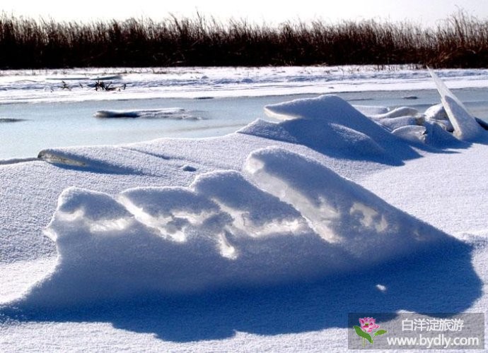 冬天来白洋淀赏冬雪、滑冰床、泡温泉、品鱼鲜 2.jpg