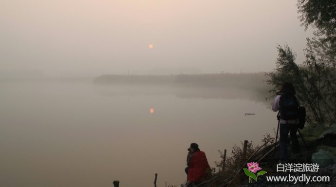 美丽在眼前：雾中的白洋淀（多图） 4.jpg