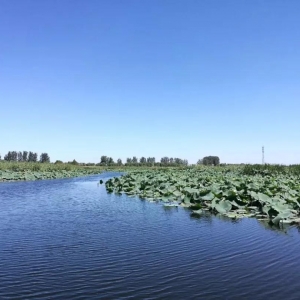 改善河湖面貌！水利部将在全国开展河湖整治四大专项行动