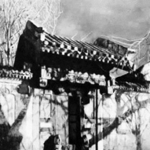 赵北口的“犟”丫头