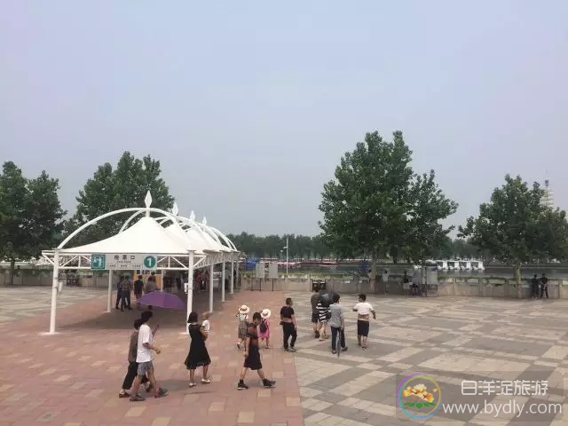 白洋淀景区旅游高峰到来，管理与服务更加人性化。 640.webp (8).jpg