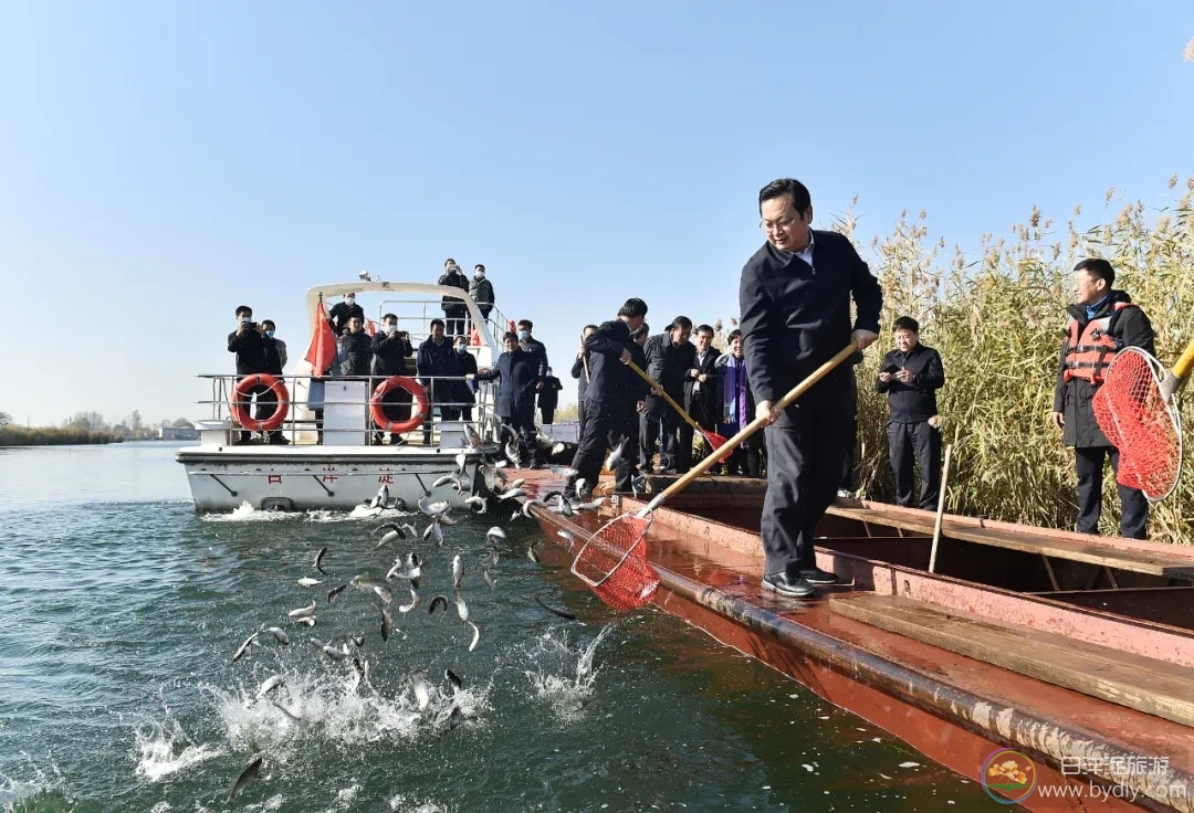 张国华调研雄安新区水利工程项目建设并参加白洋淀增殖放流活动 ... ... 640.webp (3).jpg