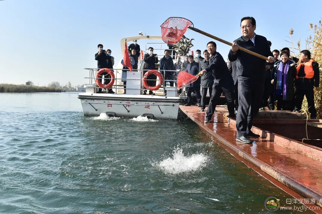 张国华调研雄安新区水利工程项目建设并参加白洋淀增殖放流活动 ... ... 640.webp (4).jpg