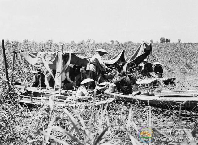 雁翎奇兵的“嘎子们”如何神出鬼没，一次次成功伏击日寇？ ... caef76094b36acaf41155de56393671400e99c85.jpg