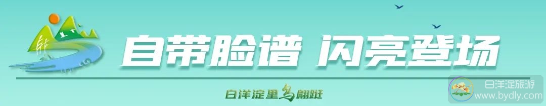 自带脸谱的京剧鸭，在白洋淀闪亮登场！ 640 (2).jpg