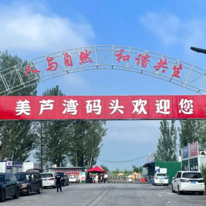 乡村游秩序整治在行动丨雄州镇南辛立庄美芦湾码头积极推进服务升级
