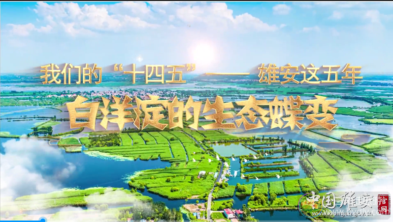 白洋淀的生态蝶变