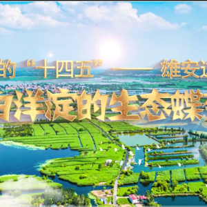 白洋淀的生态蝶变