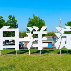 白洋淀的诗与远方